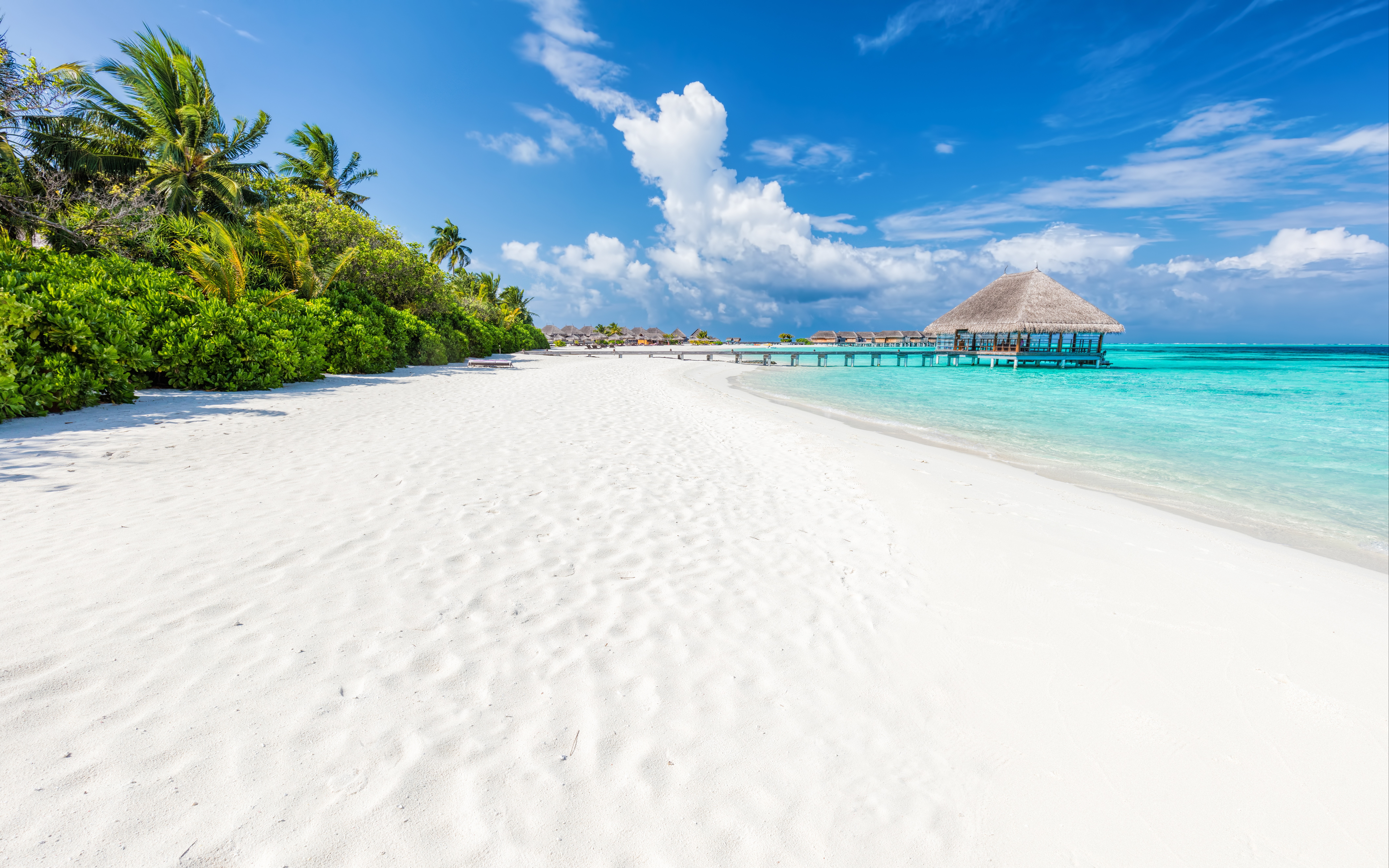 Beach & Wellness