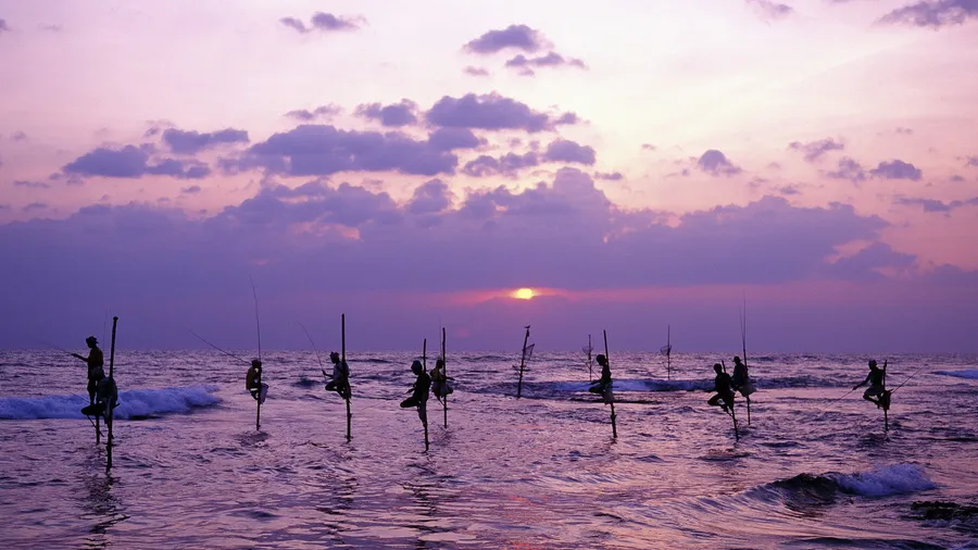 Stilt fishing at sunset, Sri Lanka