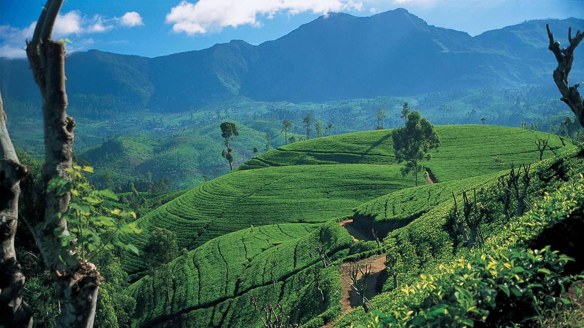 Sri Lanka wallpaper